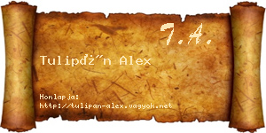 Tulipán Alex névjegykártya